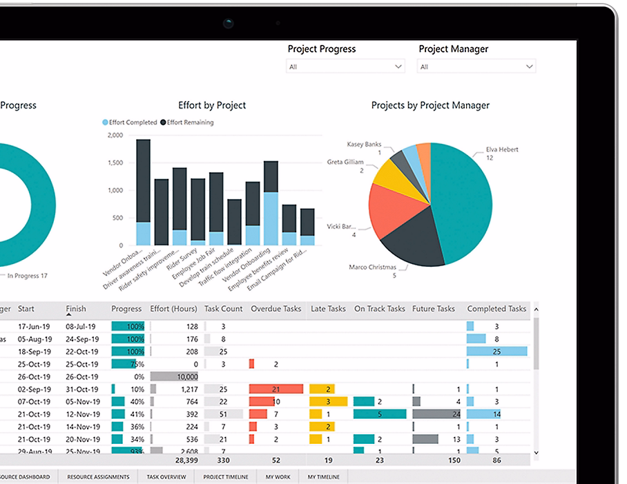 Get the big picture across programs and projects